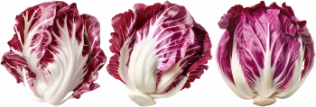 Salad Greens 52xPNG