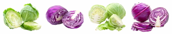 Salad Greens 52xPNG