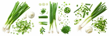 Salad Greens 52xPNG