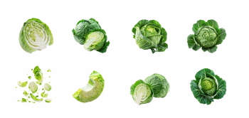 Salad Greens 52xPNG
