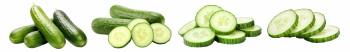 Salad Greens 52xPNG