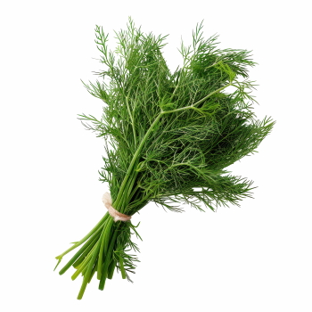 Salad Greens 52xPNG