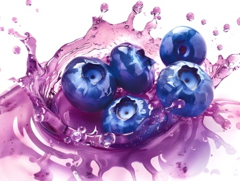 Isolated Foods on White 13xPNG, 38xJPEG