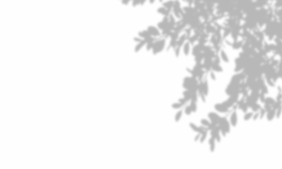 Light & Shadows on Transparet Backgorund 25xPNG