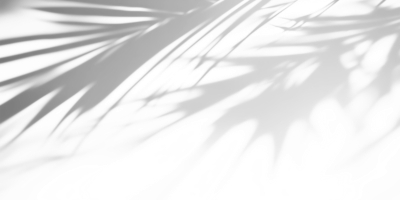 Light & Shadows on Transparet Backgorund 25xPNG