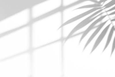 Light & Shadows on Transparet Backgorund 25xPNG