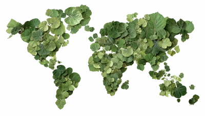 3D World Maps Transparent 25xPNG 3D World Maps Transparent 25xPNG