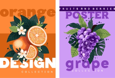 Fruit & Flower Templates for Poster, Prints, Menu, Card or Textile 25xAI