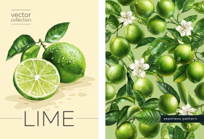 Fruit & Flower Templates for Poster, Prints, Menu, Card or Textile 25xAI