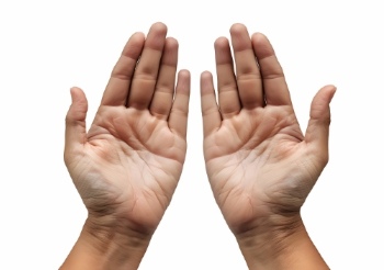 Praying Hands 18xPNG, 7xAI