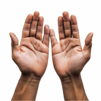 Praying Hands 18xPNG, 7xAI