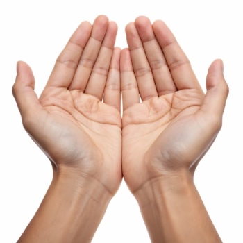 Praying Hands 18xPNG, 7xAI
