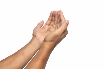 Praying Hands 18xPNG, 7xAI