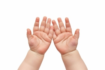 Praying Hands 18xPNG, 7xAI