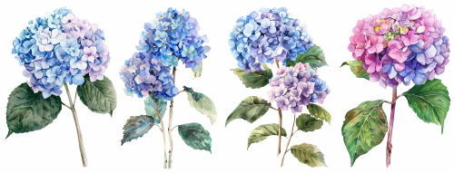 Purple Spring Flowers 24xPNG, 1xAI