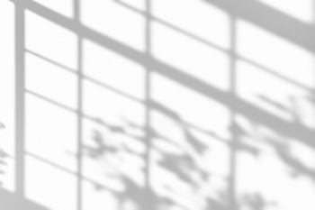 Interior Shadow Overlays #1, 25xPNG