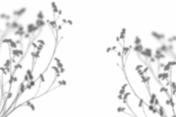 Interior Shadow Overlays #2, 25xPNG