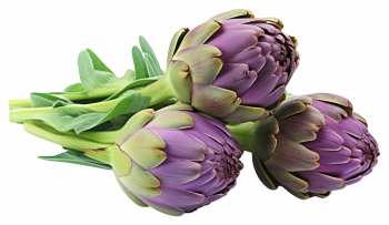 Food Collection 58xPNG