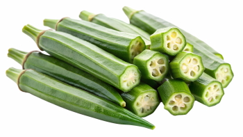 Food Collection 58xPNG