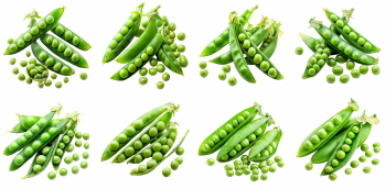 Food Collection 58xPNG