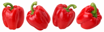 Food Collection 58xPNG
