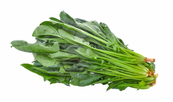 Food Collection 58xPNG