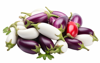 Food Collection 58xPNG