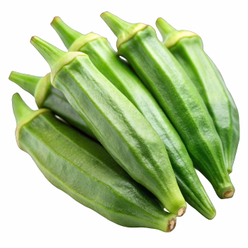 Food Collection 58xPNG