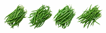 Food Collection 58xPNG