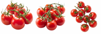 Food Collection 58xPNG