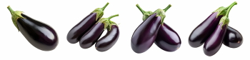 Food Collection 58xPNG
