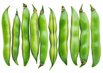 Food Collection 58xPNG