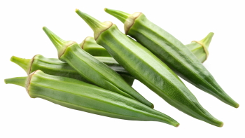 Food Collection 58xPNG