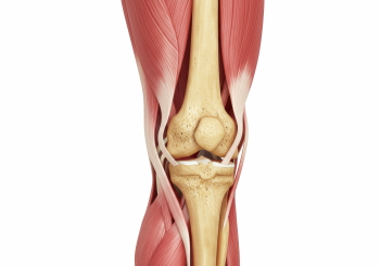 Knee Joint Treatment - DIAGNOSIS 28xJPEG, 7xPNG