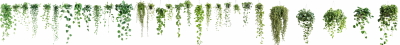 Green Leaved Branches 33xPNG