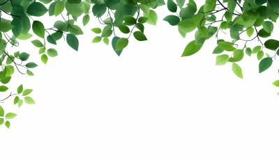 Green Leaved Branches 33xPNG
