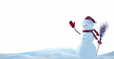 Snowy Branches, Forest & Landscapes 25xPNG