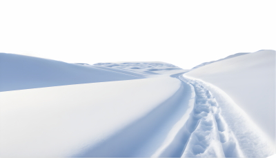 Snowy Branches, Forest & Landscapes 25xPNG