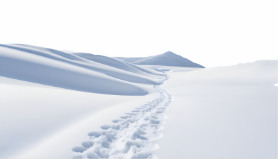 Snowy Branches, Forest & Landscapes 25xPNG