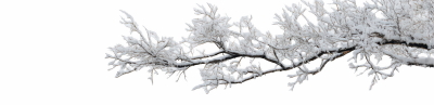 Snowy Branches, Forest & Landscapes 25xPNG