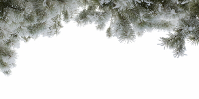 Snowy Branches, Forest & Landscapes 25xPNG