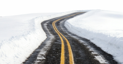 Snowy Branches, Forest & Landscapes 25xPNG