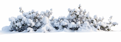 Snowy Branches, Forest & Landscapes 25xPNG
