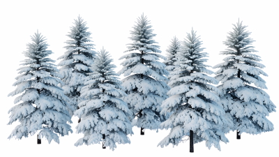 Snowy Branches, Forest & Landscapes 25xPNG