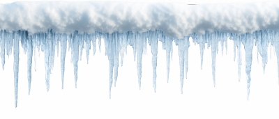 Snowy Branches, Forest & Landscapes 25xPNG