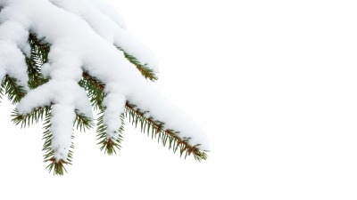 Snowy Branches, Forest & Landscapes 25xPNG