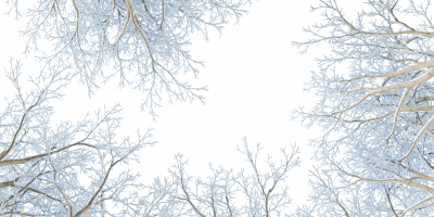 Snowy Branches, Forest & Landscapes 25xPNG
