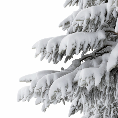 Snowy Branches, Forest & Landscapes 25xPNG