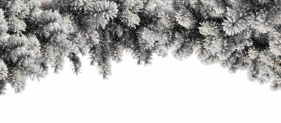 Snowy Branches, Forest & Landscapes 25xPNG