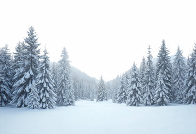 Snowy Mountains & Forest 25xPNG